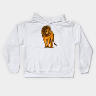 Lion Kids Hoodie